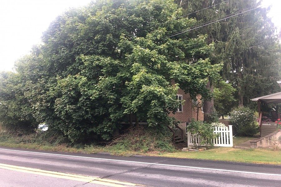 2nd image of 20 S Tremont St