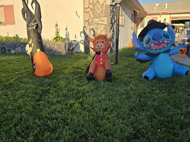 809 Antigua St — Photo 5