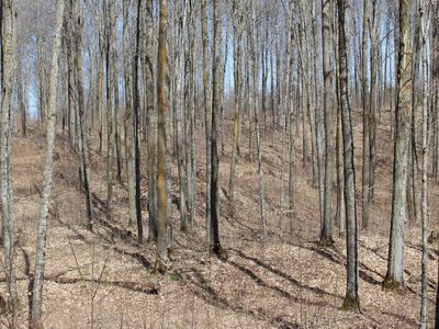 Will Rd, Mellen, WI, 54546