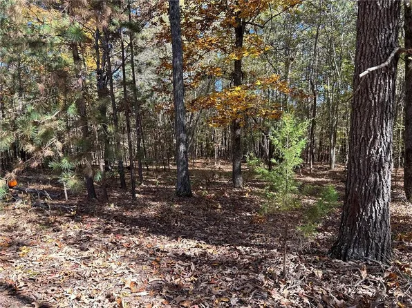 0 Wray Rd #9, Buchanan, GA 30113