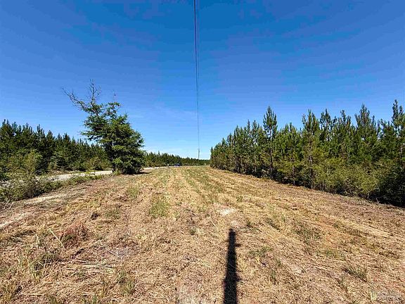 3rd image of 0 Mineral Springs Rd