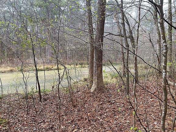 5th image of 1241 Northwoods Dr