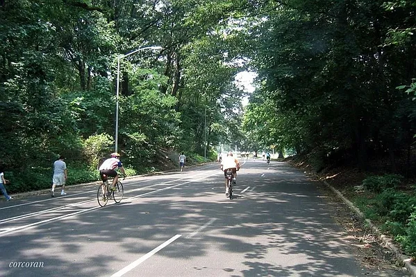 Rented by Corcoran | media 14