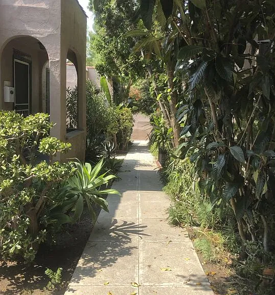 1677 Golden Gate Ave — Photo 20