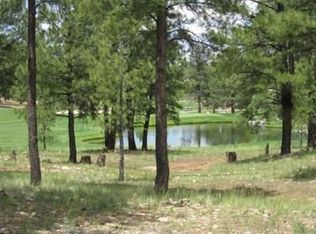 2602 E Bueno Vista Ct, Flagstaff, AZ 86001