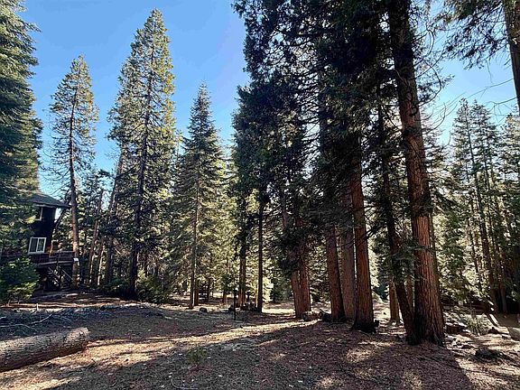 4th image of 638 Pine Canyon Rd