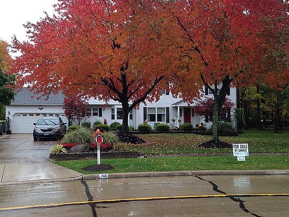 2nd image of 703 Davidson Dr