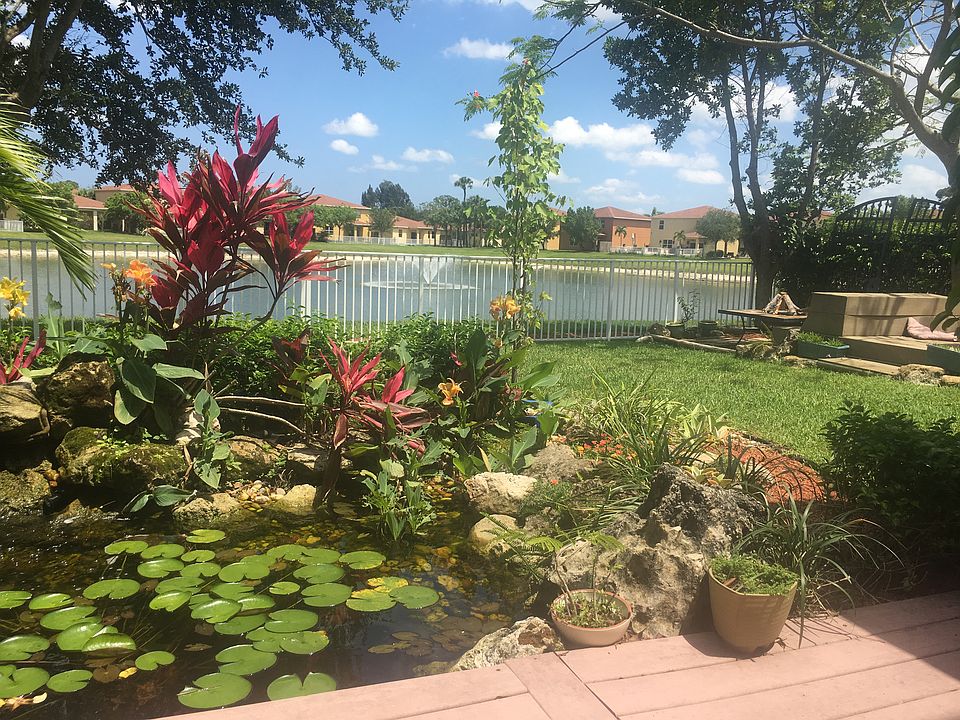 Sitting by the Koi Pond