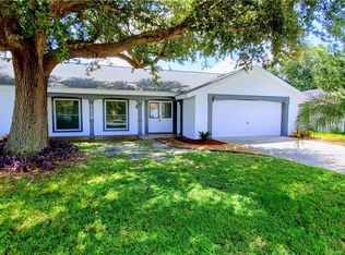 3628 Rockaway Dr, Holiday, FL 34691