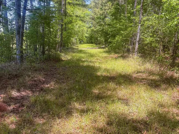 Highway 15 East Of Railroad, Louin, MS 39338
