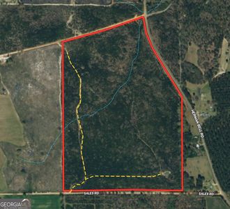 95 / Ac Sales Rd, Mauk, GA, 31058