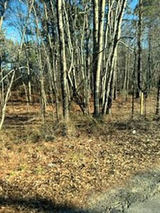 (Undisclosed Address), Mabelvale, AR, 72103