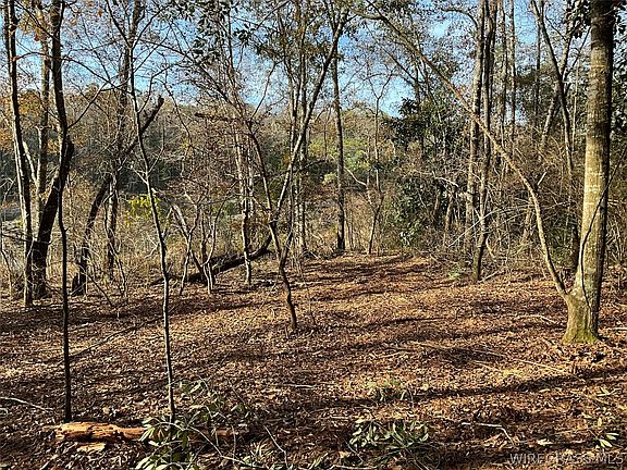2nd image of 415 Lessie Culpepper Rd