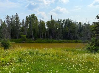 20257 S Libby Rd, Pickford, MI 49774