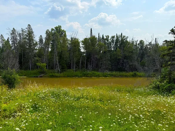 20257 S Libby Rd, Pickford, MI 49774