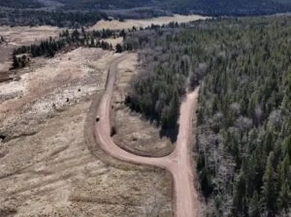 LOT 2919.02 Henderson Dr, Fort Garland, CO 81133