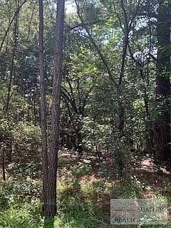 2nd image of 46 Deer Trail Dr