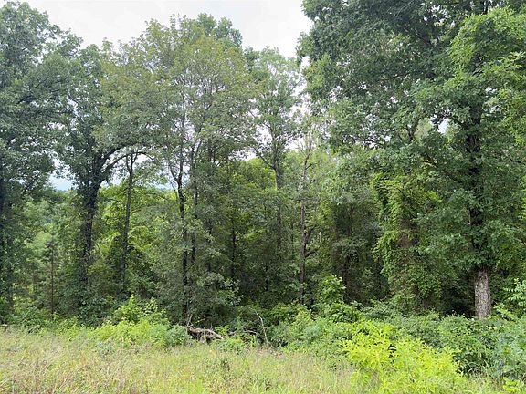 5th image of 80 Acres Hwy #41