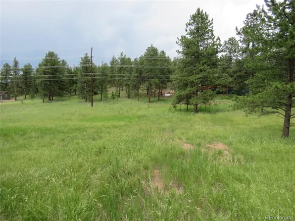 209 Homestead Ln, Florissant, CO 80816
