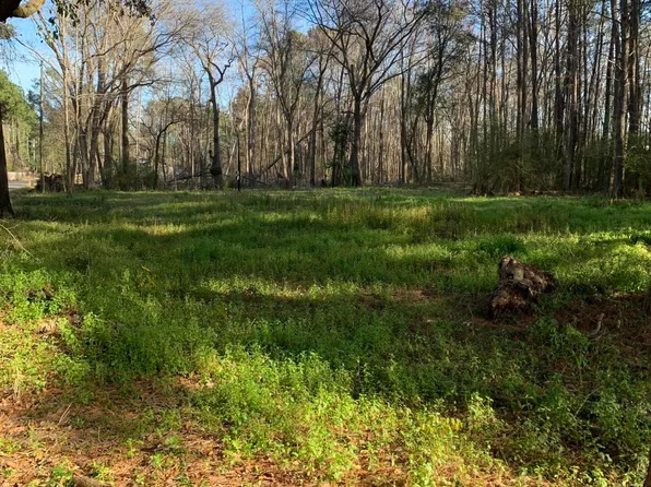 155 Droze Rd, Summerville, SC 29483