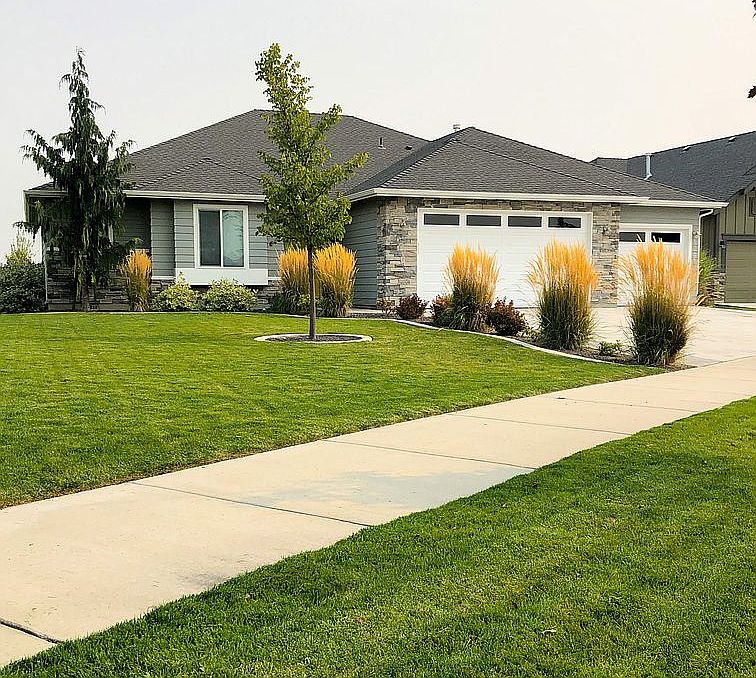 Front Yard