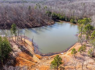 773 County Road 925, Bunker, MO 63629