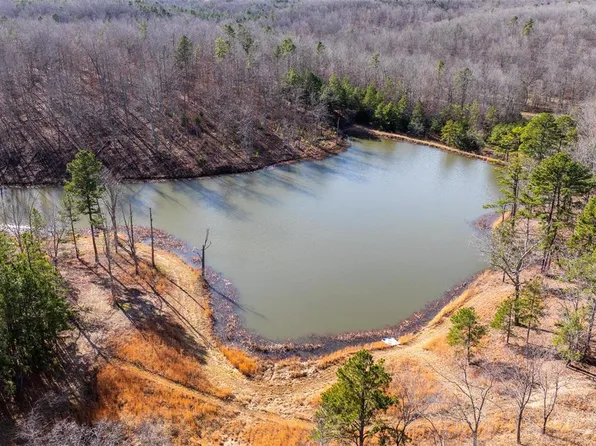 773 County Road 925, Bunker, MO 63629