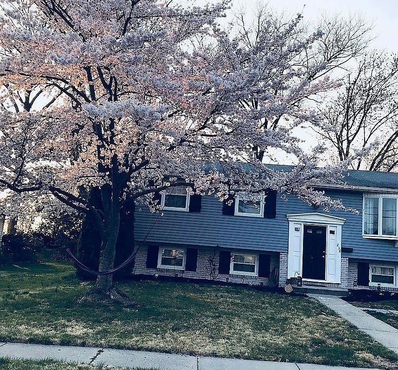 2nd image of 238 Borton Dr