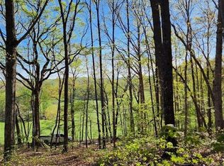 11.87 Lumpkin View Dr, Cleveland, GA 30528