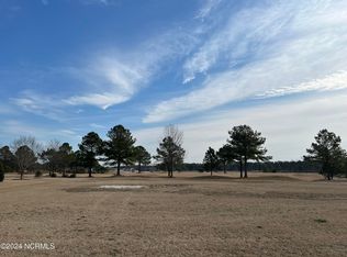 175 Weeping Willow Ct, Snow Hill, NC 28580