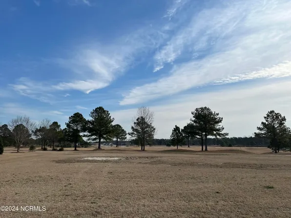 175 Weeping Willow Court, Snow Hill, NC 28580