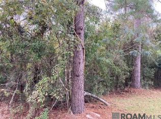 13 & 14 Lucien St, Denham Springs, LA 70726