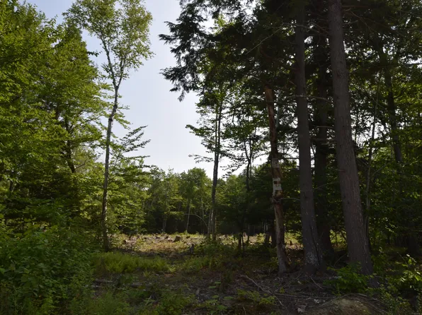 11 Katahdin Way, Eddington, ME 04428