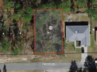 713 W Horizon Ln, Citrus Springs, FL 34434