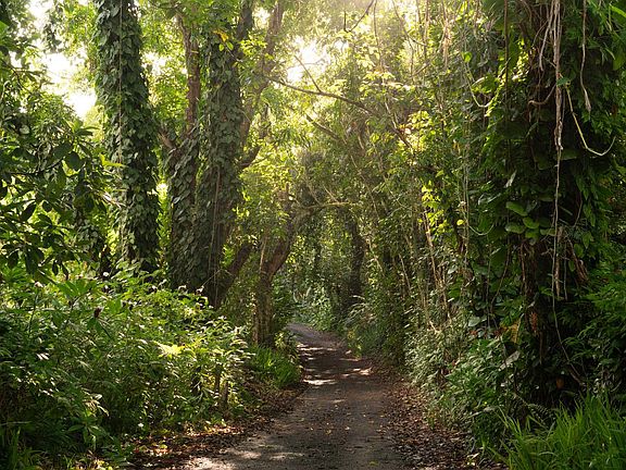 3rd image of 715 N Honokala Rd