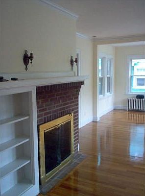 Working Fire Place