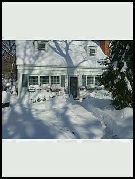 Winter Wonderland