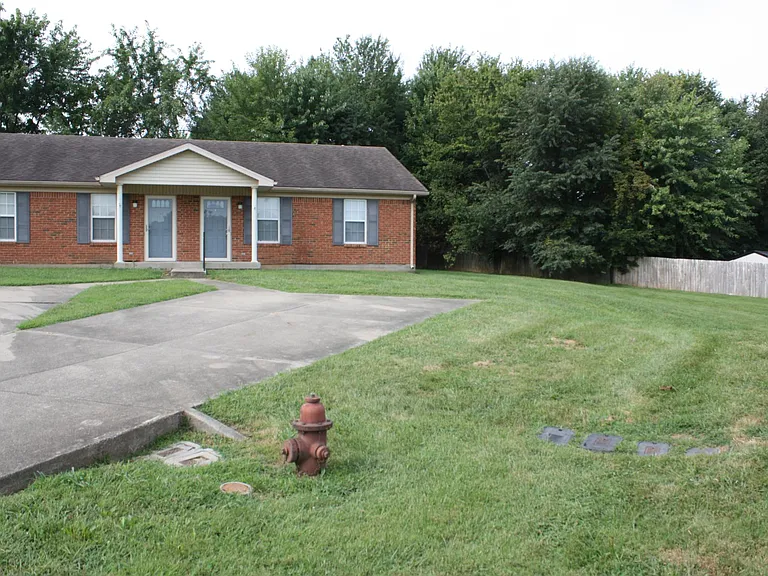 Front yard/driveway