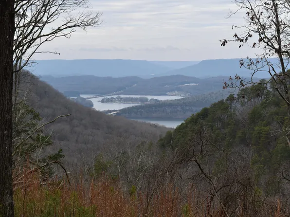 1075 Birds Eye Way Lot 1075, Guild, TN 37340