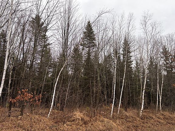 2nd image of ON Sheep Camp Road