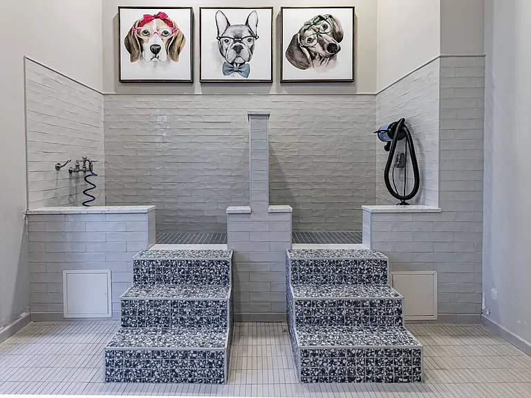 Pet Spa