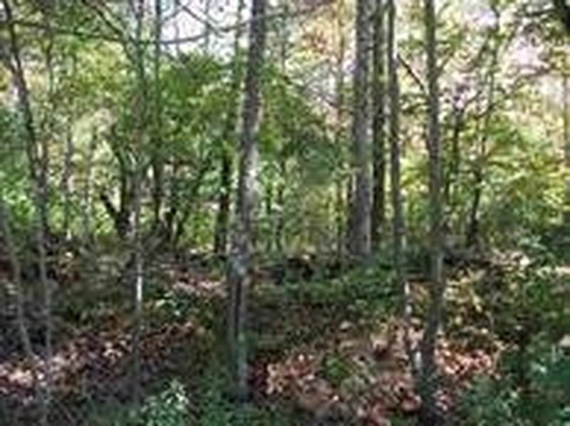 3rd image of 0 ARMLIN Road