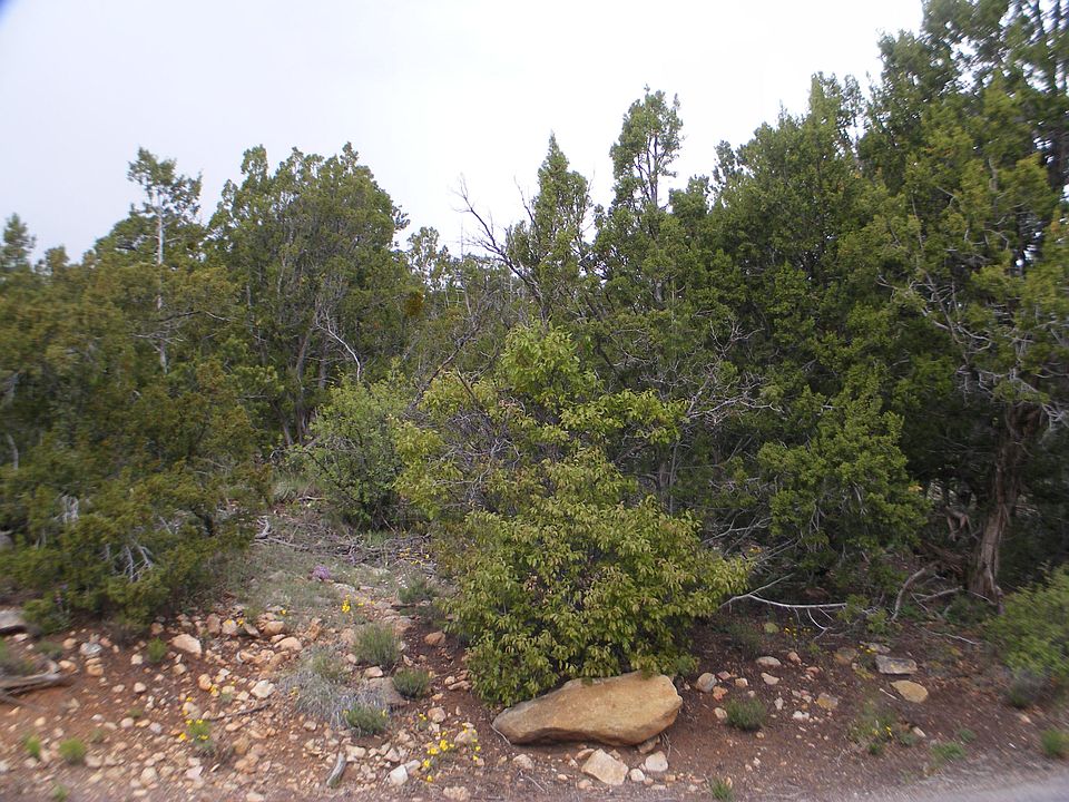2nd image of 6 Fir Loop