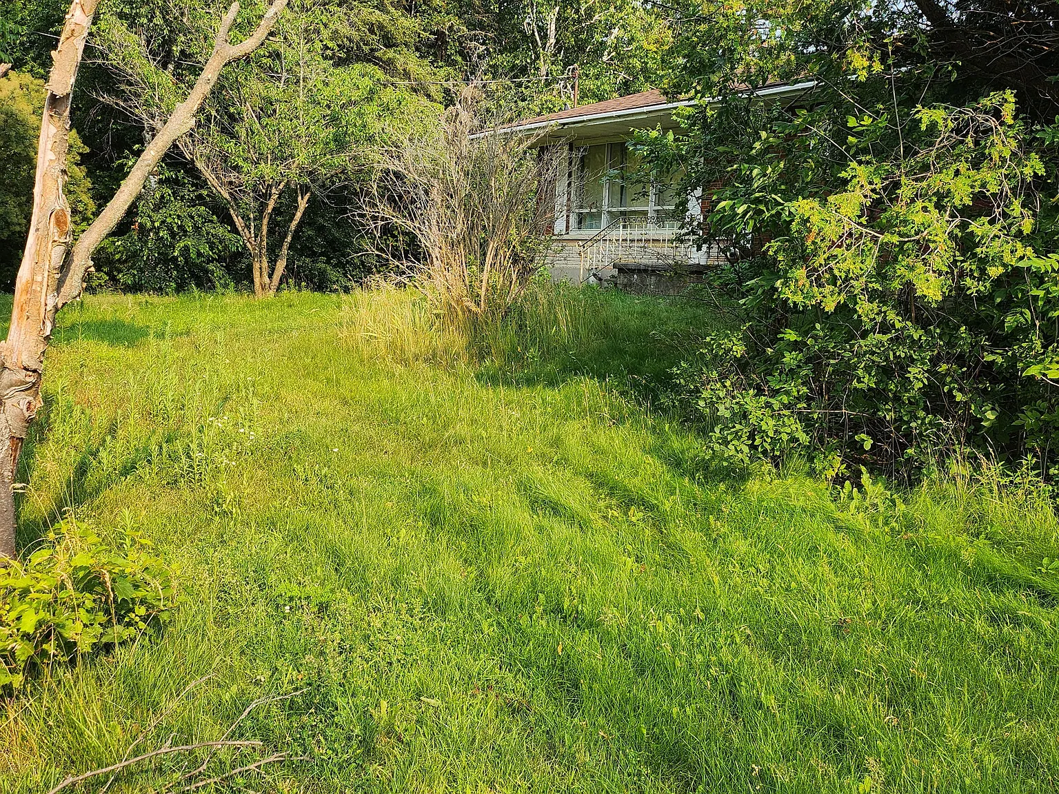 2 bed, $2,225 — Photo 3