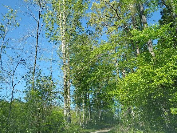 5th image of 216 McMichen Rd