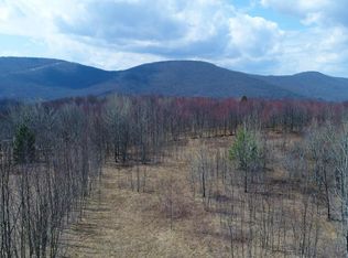 0 Lyon Mountain Rd, Hobart, NY 13788