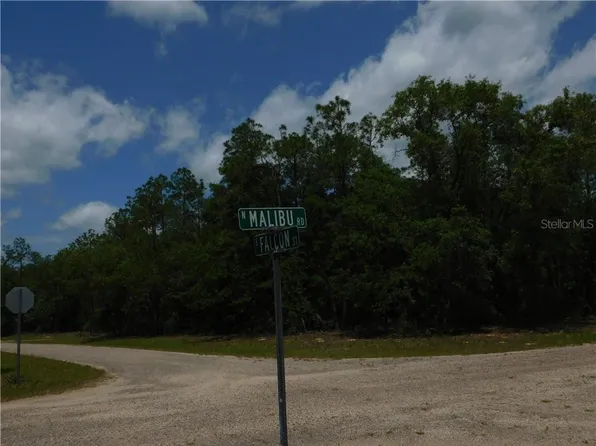 8564 N Malibu Rd, Citrus Springs, FL 34434
