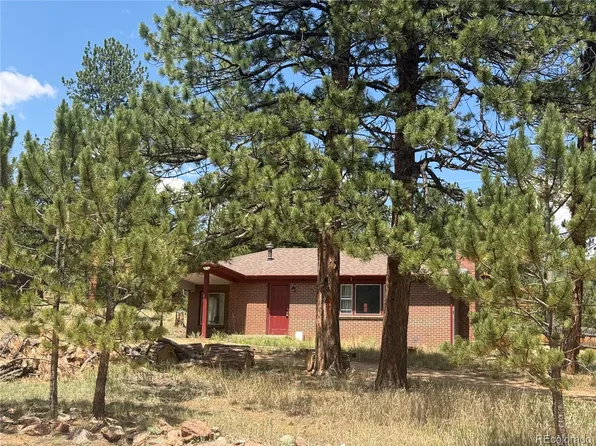 63 Fitzsimmons Road, Bailey, CO 80421