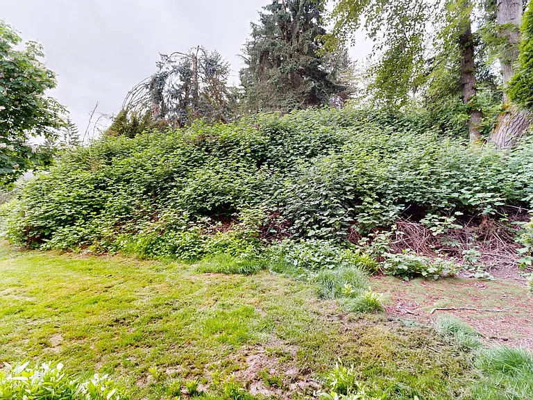 Hilltop in the Highlands — Photo 35