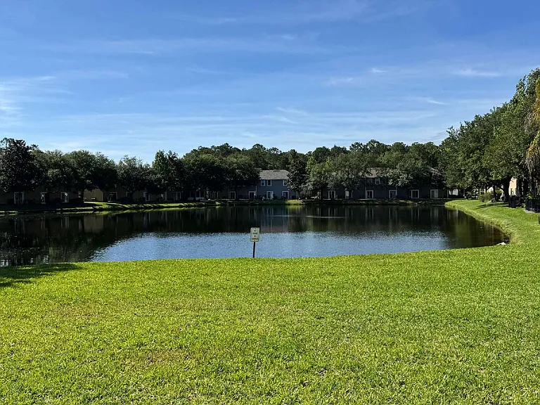 374 Scrub Jay Dr — Photo 31